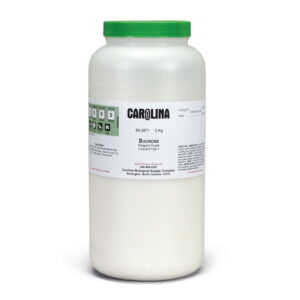 Sucrose, Reagent Grade, 2 Kg., For Educational Use Only